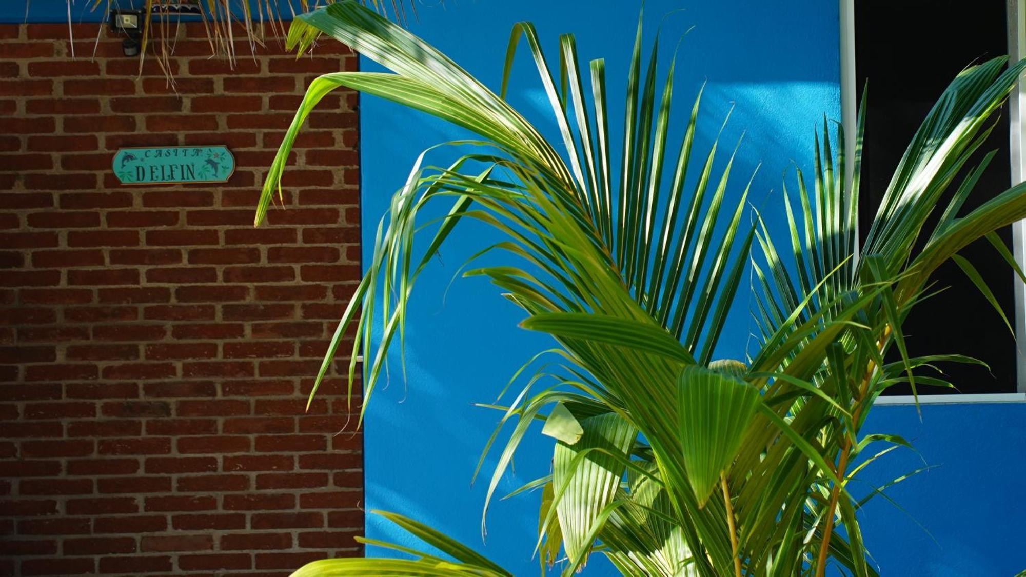 Agua Blanca Ocean Oasis Hotel - Adult Only, Four Casitas Boutique Resort מראה חיצוני תמונה