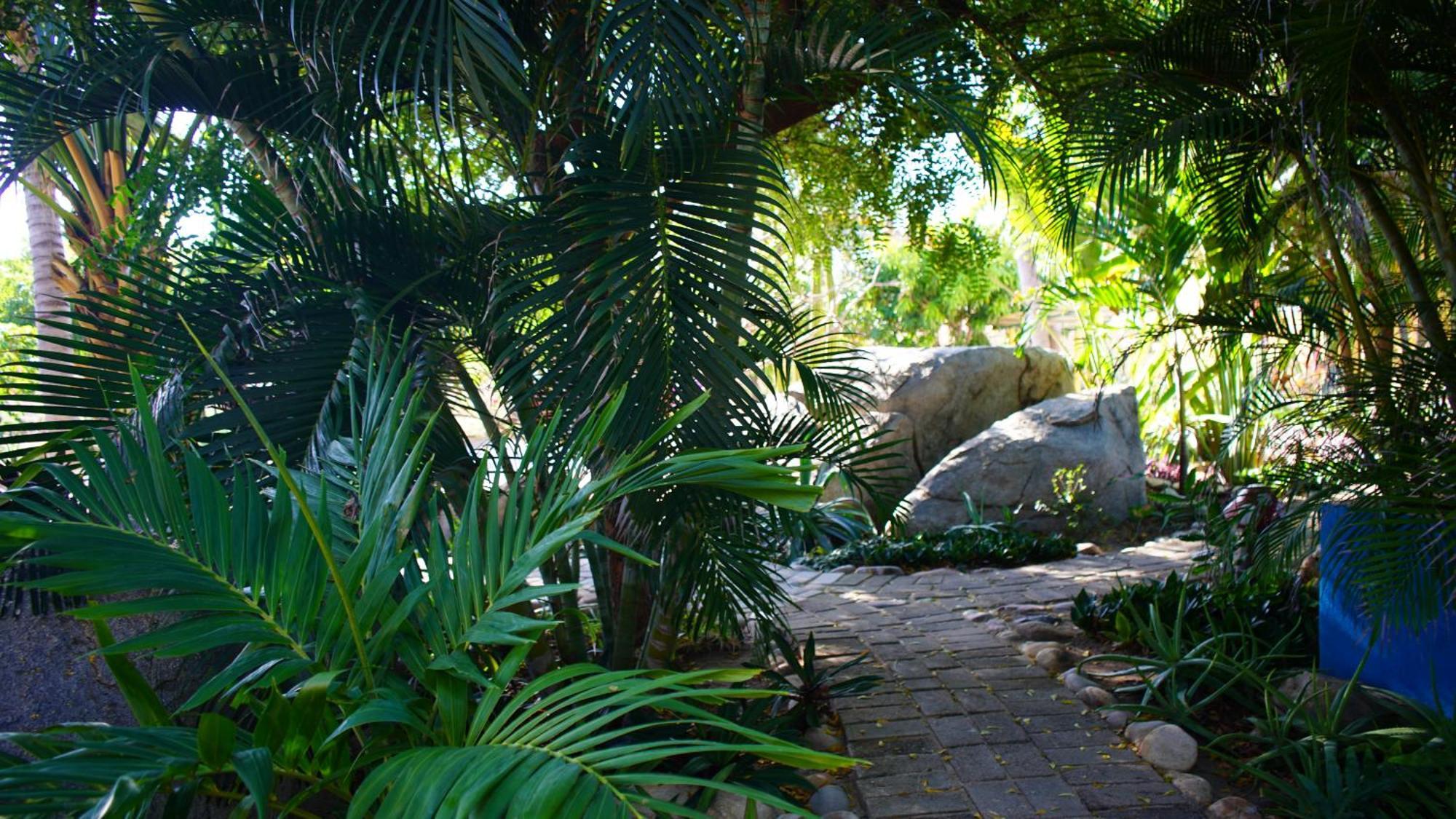 Agua Blanca Ocean Oasis Hotel - Adult Only, Four Casitas Boutique Resort מראה חיצוני תמונה
